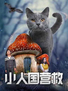 美女的vk