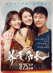 亚洲高清在线视频